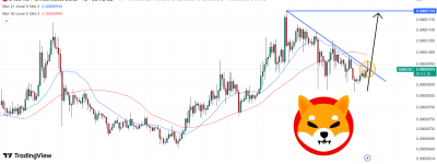 柴犬币价格预测：SHIB反弹10%　新涨势开始？