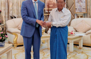 中国驻缅甸大使见了缅甸前领导人丹瑞